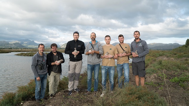 Los buzones de Correos, 'especie' en peligro de extinción en Castellón
